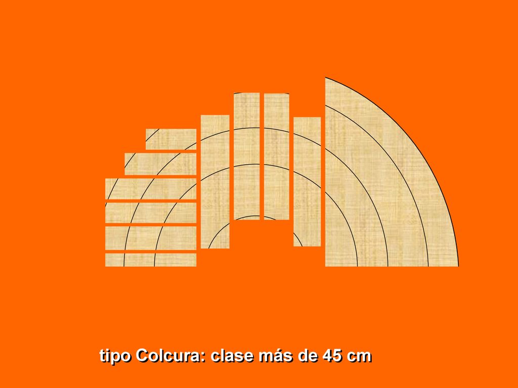 tipo Colcura: clase más de 45 cm