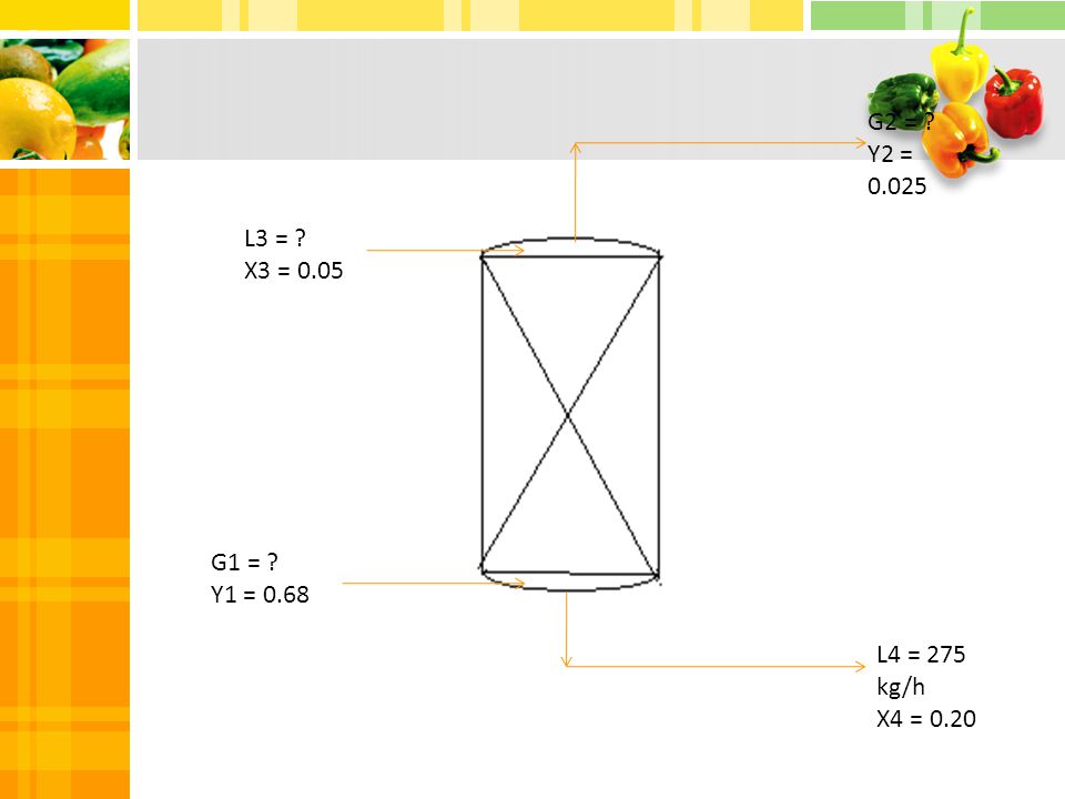 G2 = Y2 = L3 = X3 = 0.05 G1 = Y1 = 0.68 L4 = 275 kg/h X4 = 0.20
