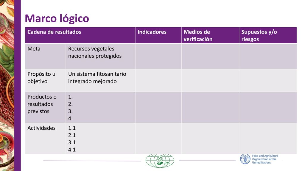 Marco lógico Cadena de resultados Indicadores Medios de verificación
