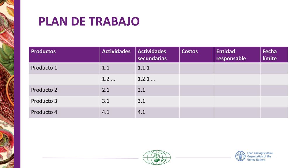 PLAN DE TRABAJO Productos Actividades Actividades secundarias Costos