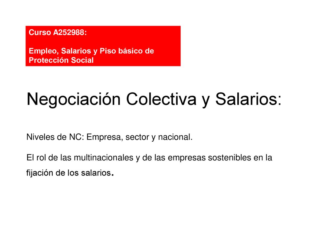 Curso A252988: Empleo, Salarios y Piso básico de Protección Social.