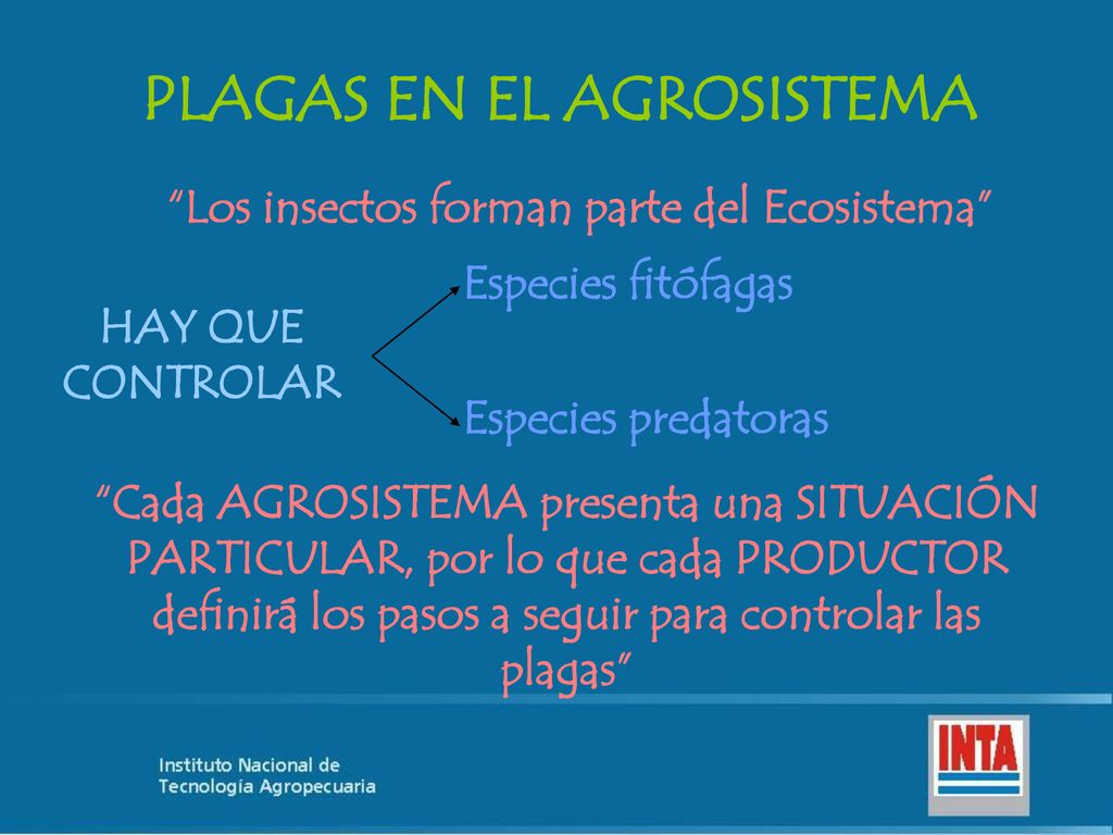 PLAGAS EN EL AGROSISTEMA Los insectos forman parte del Ecosistema