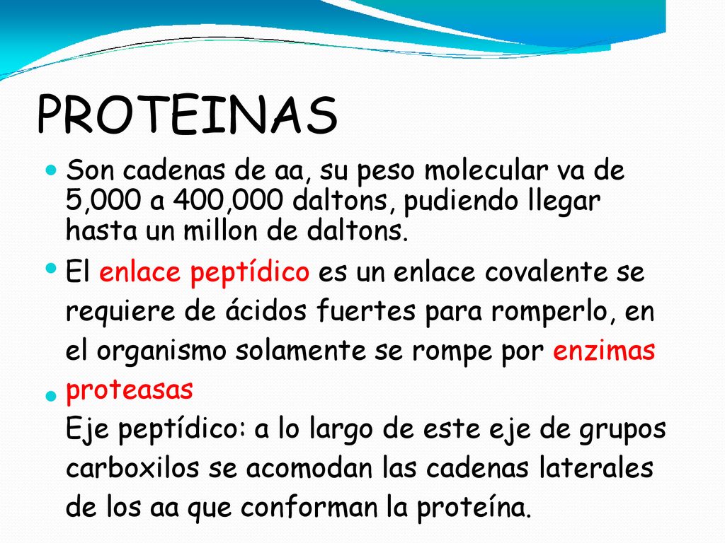 PROTEINAS Son cadenas de aa, su peso molecular va de