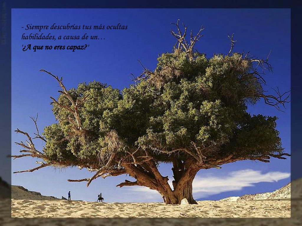 - Siempre descubrías tus más ocultas habilidades, a causa de un… ¿A que no eres capaz