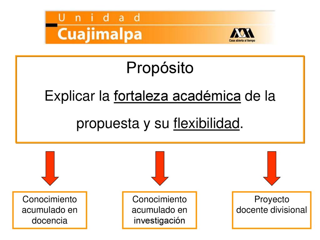 Propósito Explicar la fortaleza académica de la propuesta y su flexibilidad. Conocimiento acumulado en docencia.