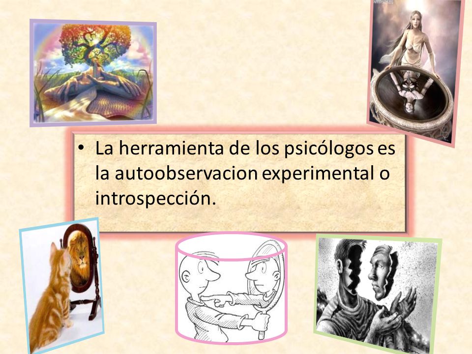 La herramienta de los psicólogos es la autoobservacion experimental o introspección.