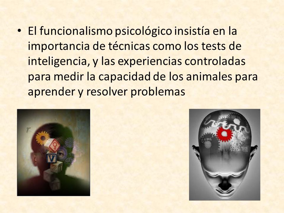 El funcionalismo psicológico insistía en la importancia de técnicas como los tests de inteligencia, y las experiencias controladas para medir la capacidad de los animales para aprender y resolver problemas
