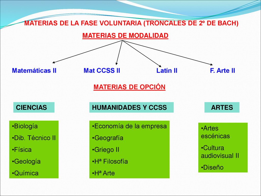 MATERIAS DE LA FASE VOLUNTARIA (TRONCALES DE 2º DE BACH)