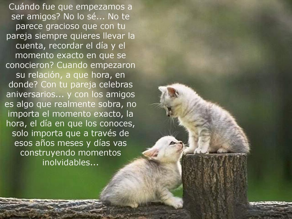 Cuándo fue que empezamos a ser amigos. No lo sé