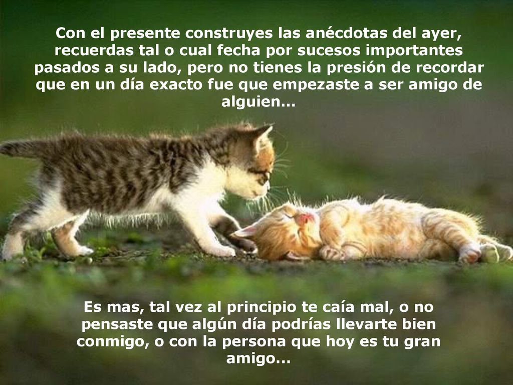 Con el presente construyes las anécdotas del ayer, recuerdas tal o cual fecha por sucesos importantes pasados a su lado, pero no tienes la presión de recordar que en un día exacto fue que empezaste a ser amigo de alguien...