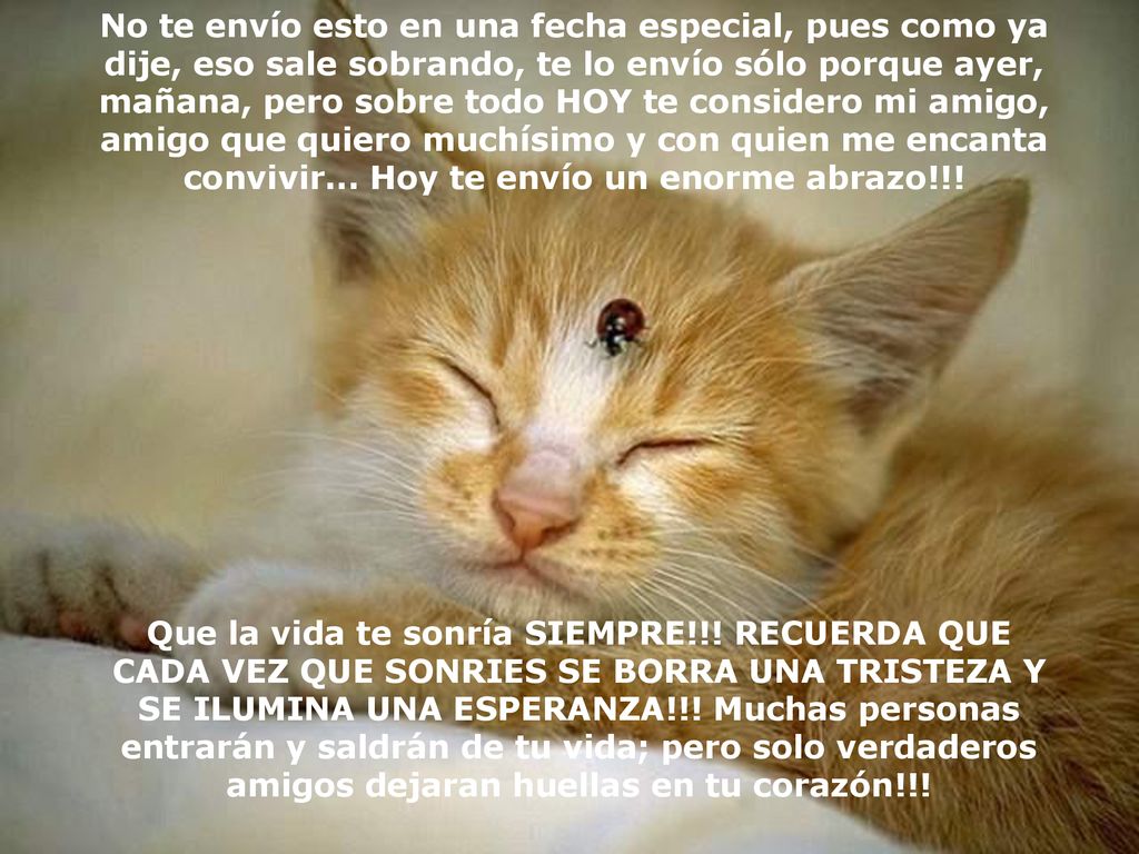No te envío esto en una fecha especial, pues como ya dije, eso sale sobrando, te lo envío sólo porque ayer, mañana, pero sobre todo HOY te considero mi amigo, amigo que quiero muchísimo y con quien me encanta convivir... Hoy te envío un enorme abrazo!!!