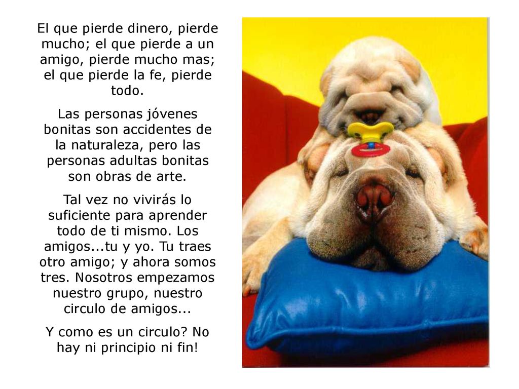 Y como es un circulo No hay ni principio ni fin!