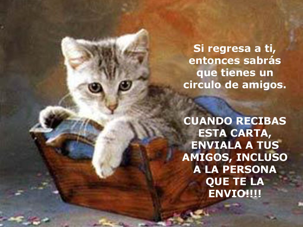 Si regresa a ti, entonces sabrás que tienes un circulo de amigos.