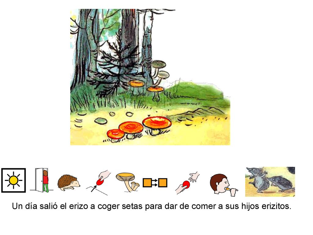 Un día salió el erizo a coger setas para dar de comer a sus hijos erizitos.