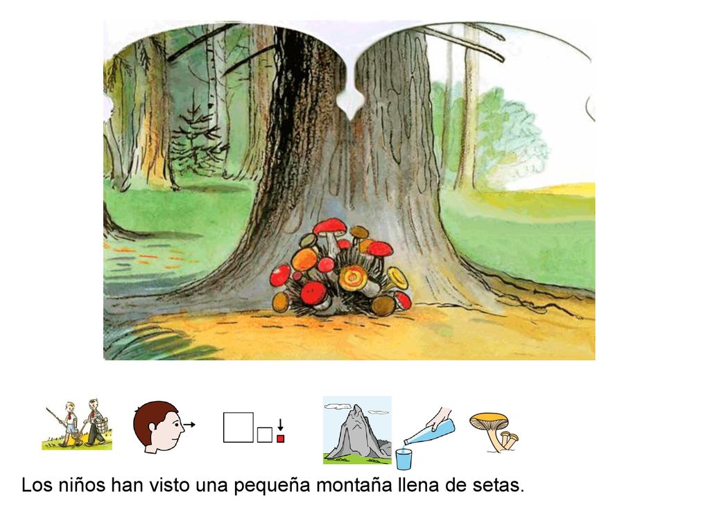 Los niños han visto una pequeña montaña llena de setas.