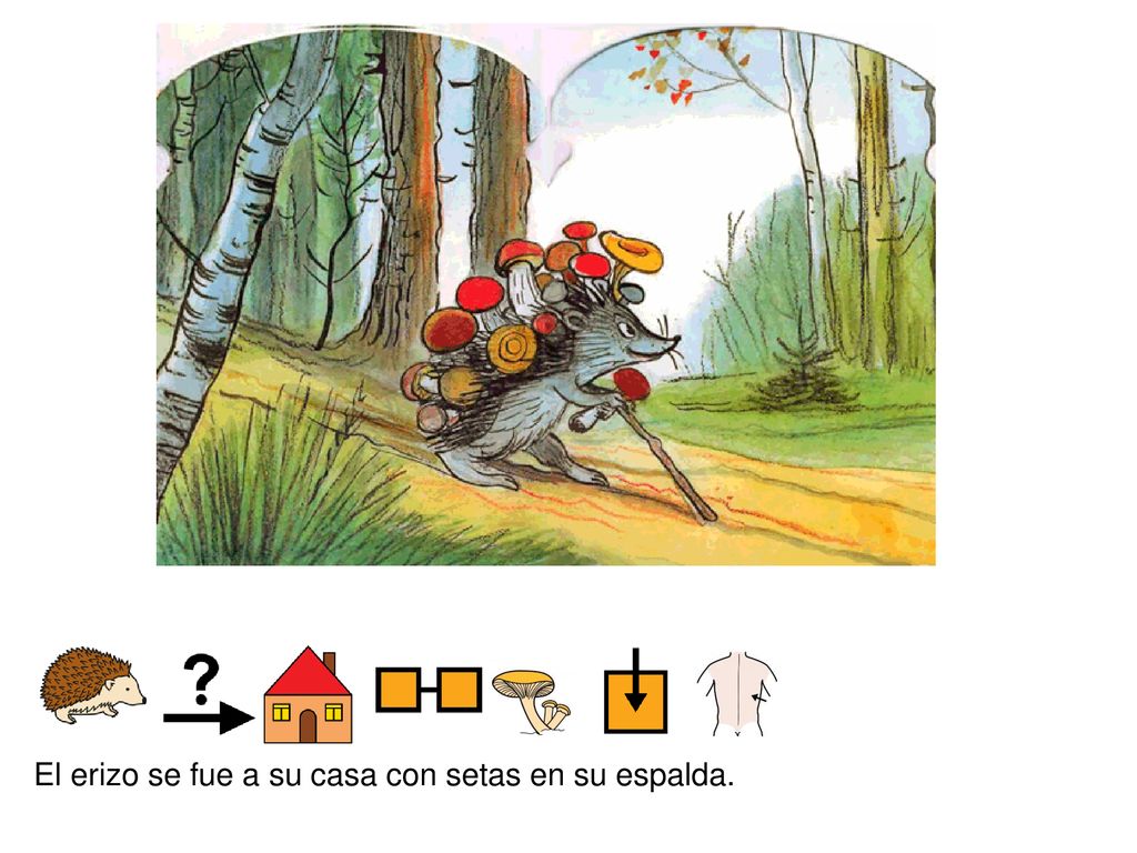 El erizo se fue a su casa con setas en su espalda.