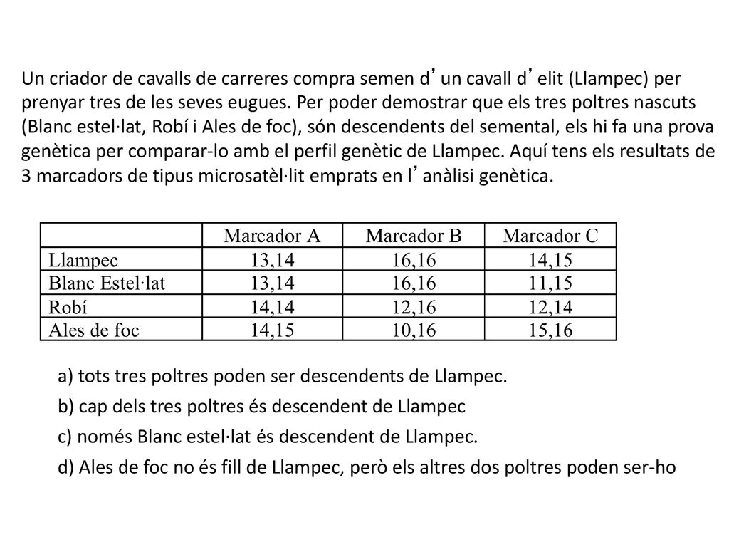 Un criador de cavalls de carreres compra semen d’un cavall d’elit (Llampec) per prenyar tres de les seves eugues. Per poder demostrar que els tres poltres nascuts (Blanc estel·lat, Robí i Ales de foc), són descendents del semental, els hi fa una prova genètica per comparar-lo amb el perfil genètic de Llampec. Aquí tens els resultats de 3 marcadors de tipus microsatèl·lit emprats en l’anàlisi genètica.