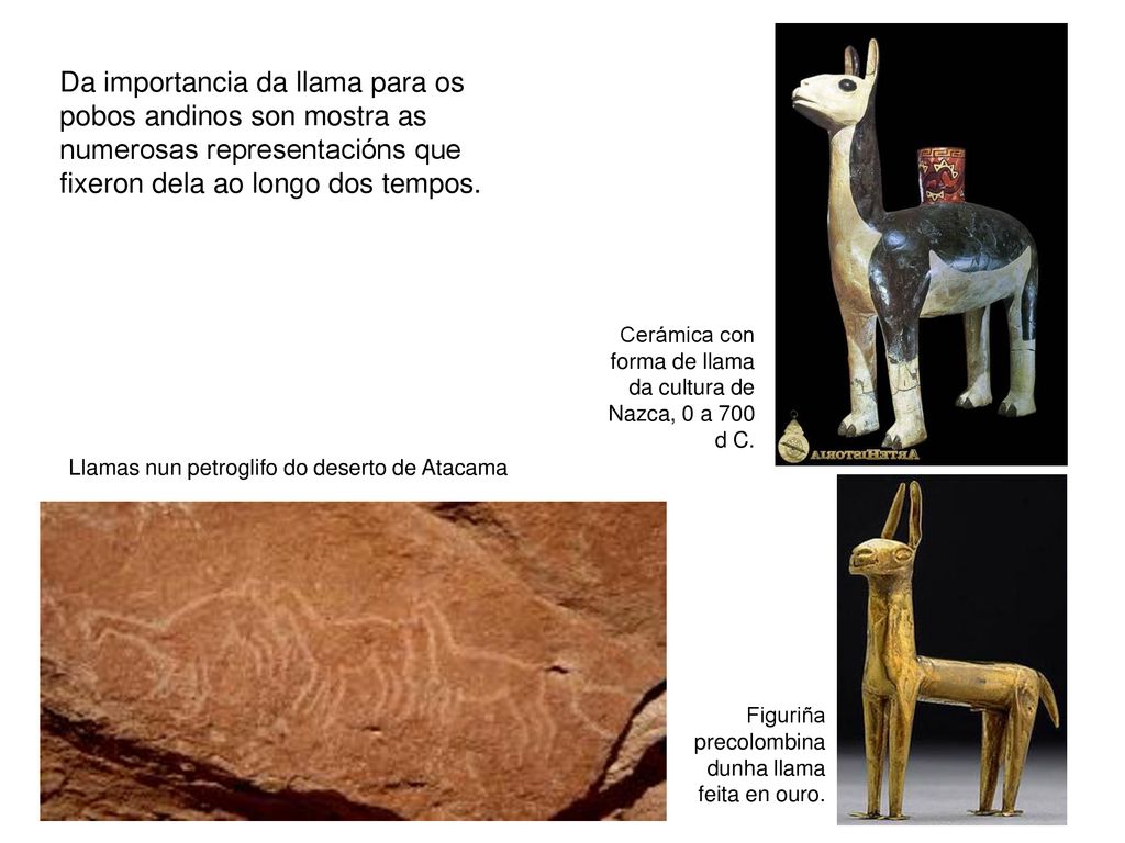 Da importancia da llama para os pobos andinos son mostra as numerosas representacións que fixeron dela ao longo dos tempos.