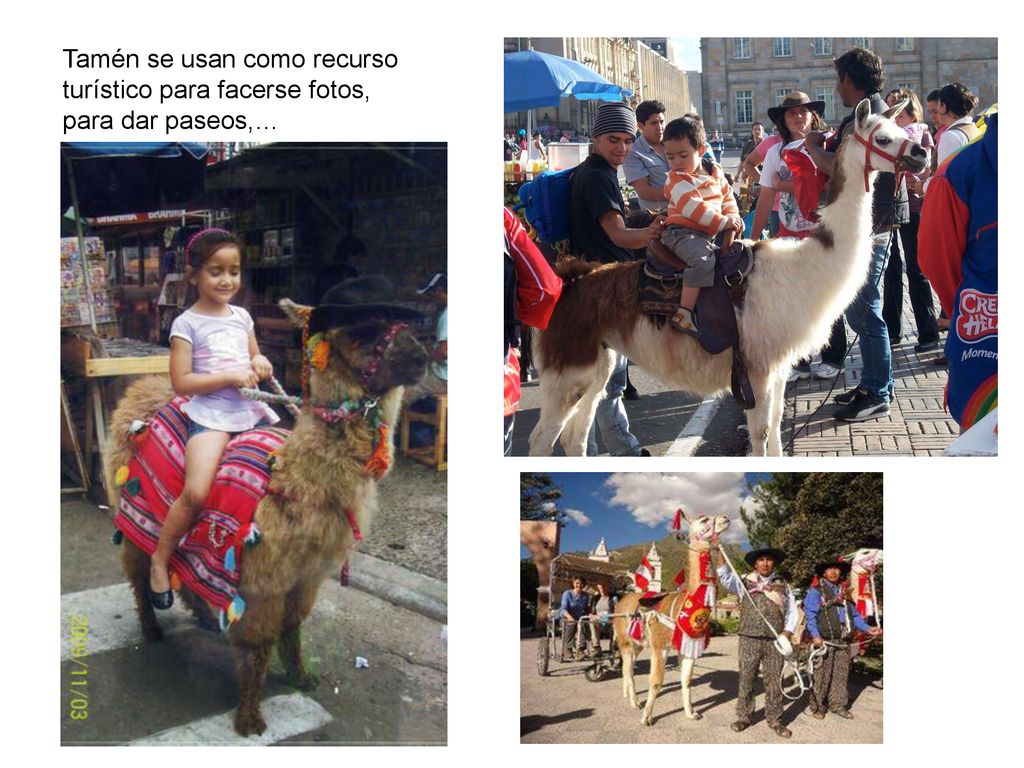 Tamén se usan como recurso turístico para facerse fotos, para dar paseos,…