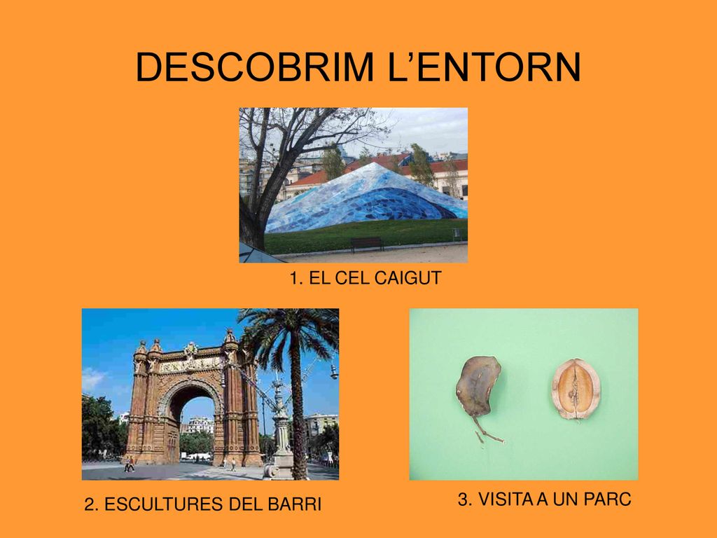 DESCOBRIM L’ENTORN 1. EL CEL CAIGUT 3. VISITA A UN PARC