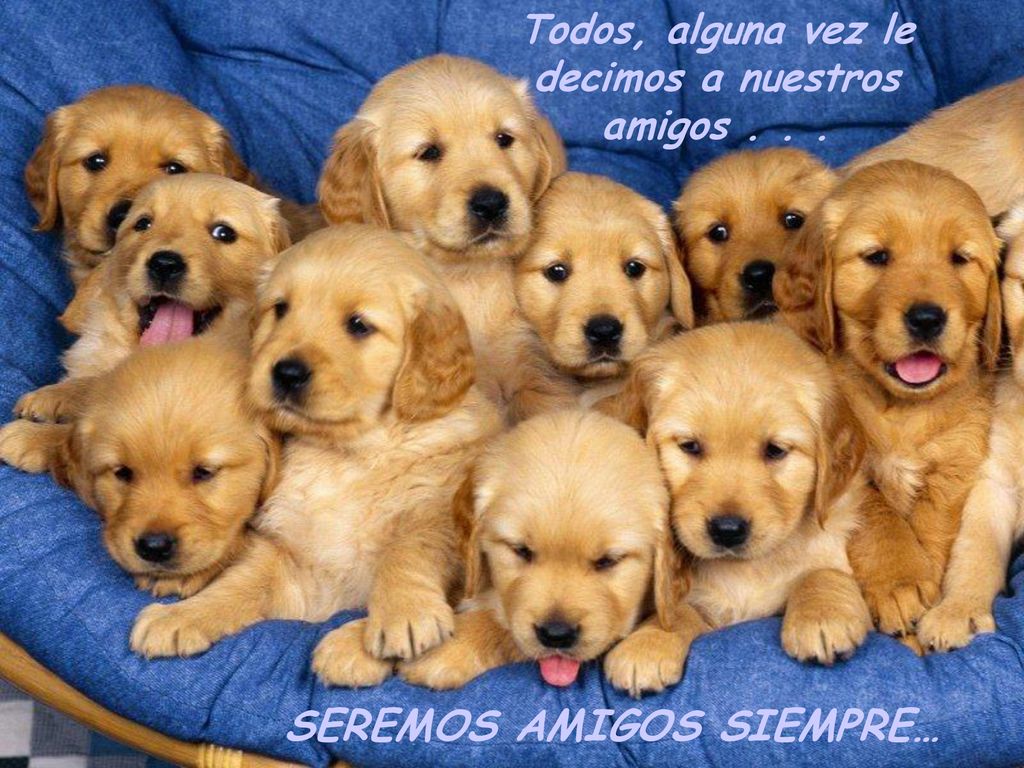 Todos, alguna vez le decimos a nuestros amigos . . .