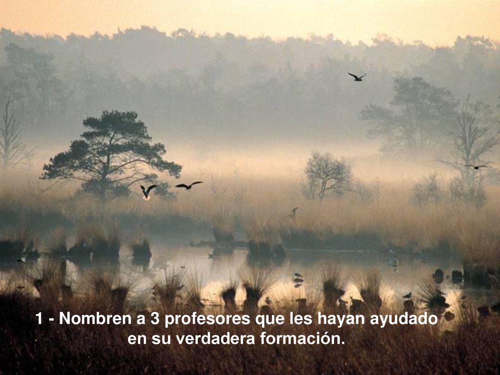 1 - Nombren a 3 profesores que les hayan ayudado en su verdadera formación.