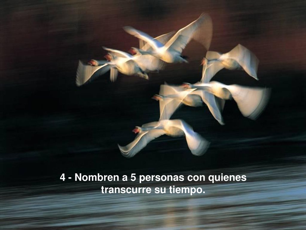4 - Nombren a 5 personas con quienes transcurre su tiempo.