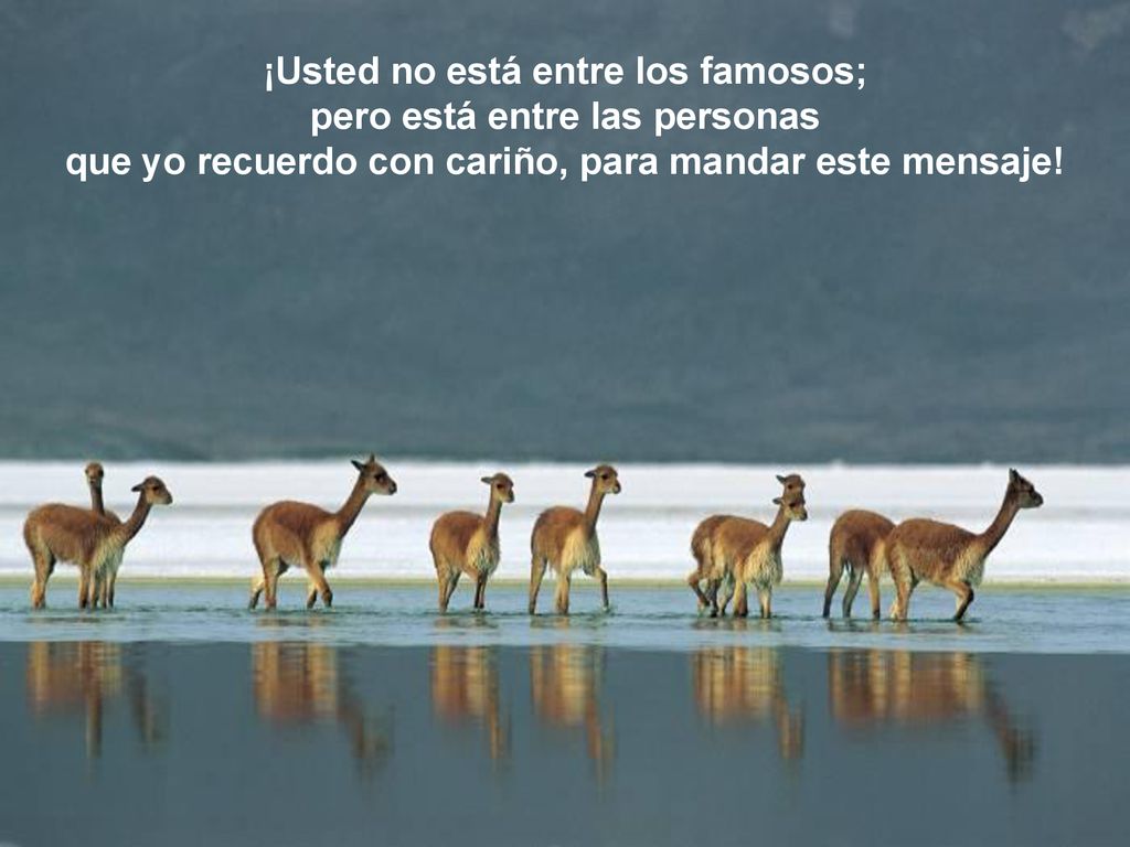 ¡Usted no está entre los famosos; pero está entre las personas