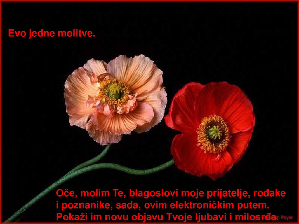 Evo jedne molitve. Oče, molim Te, blagoslovi moje prijatelje, rođake. i poznanike, sada, ovim elektroničkim putem.