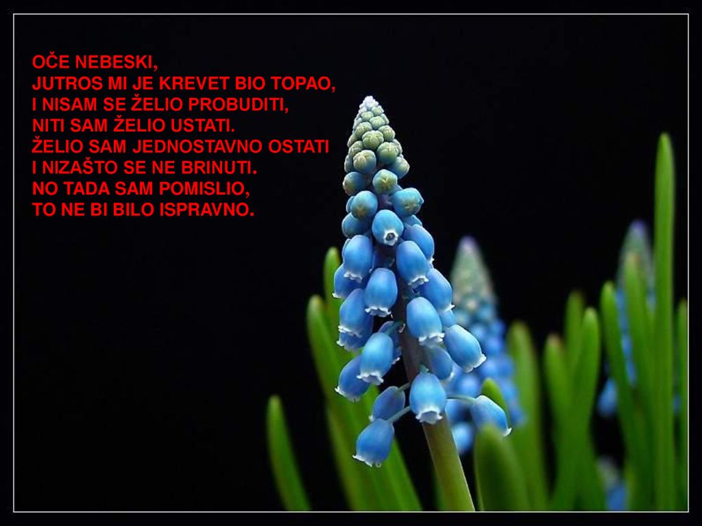 OČE NEBESKI, JUTROS MI JE KREVET BIO TOPAO, I NISAM SE ŽELIO PROBUDITI, NITI SAM ŽELIO USTATI. ŽELIO SAM JEDNOSTAVNO OSTATI.