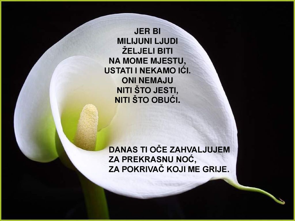 MILIJUNI LJUDI ŽELJELI BITI NA MOME MJESTU, USTATI I NEKAMO IĆI.