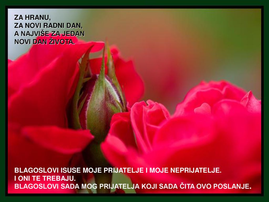 ZA HRANU, ZA NOVI RADNI DAN, A NAJVIŠE ZA JEDAN. NOVI DAN ŽIVOTA. BLAGOSLOVI ISUSE MOJE PRIJATELJE I MOJE NEPRIJATELJE.