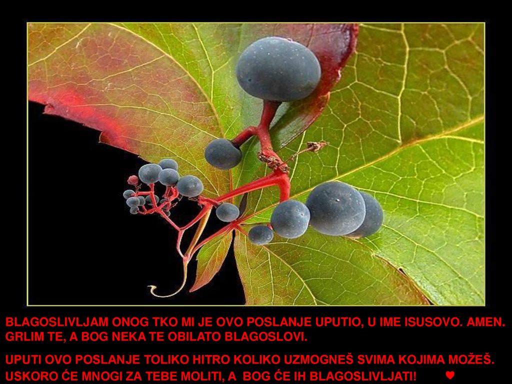 BLAGOSLIVLJAM ONOG TKO MI JE OVO POSLANJE UPUTIO, U IME ISUSOVO. AMEN
