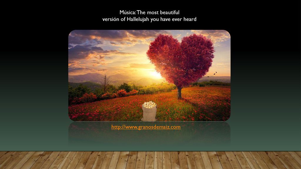 Música: The most beautiful versión of Hallelujah you have ever heard