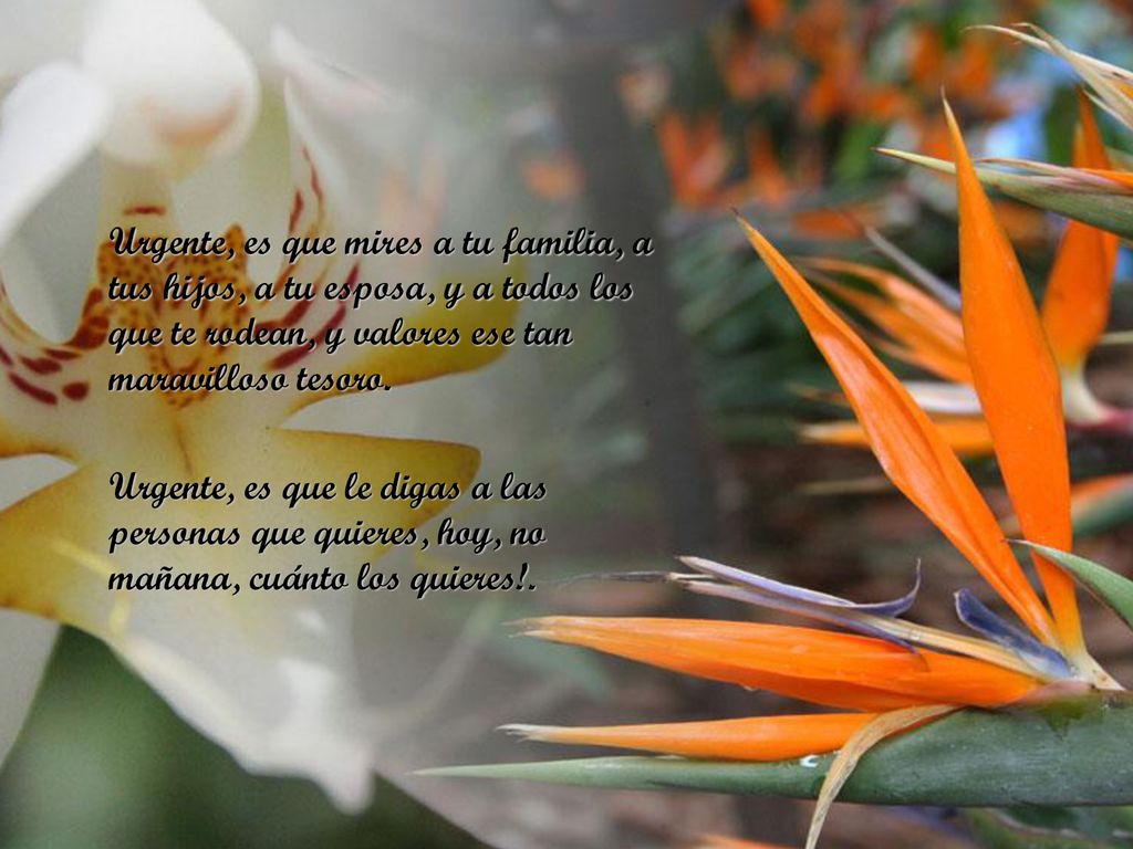 Urgente, es que mires a tu familia, a tus hijos, a tu esposa, y a todos los que te rodean, y valores ese tan maravilloso tesoro.