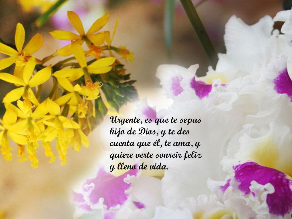 Urgente, es que te sepas hijo de Dios, y te des cuenta que él, te ama, y quiere verte sonreir feliz y lleno de vida.