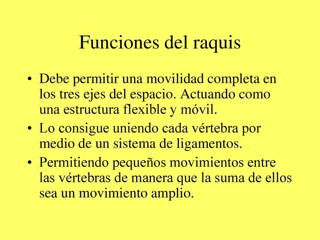 Funciones del raquis Debe permitir una movilidad completa en los tres ejes del espacio. Actuando como una estructura flexible y móvil.