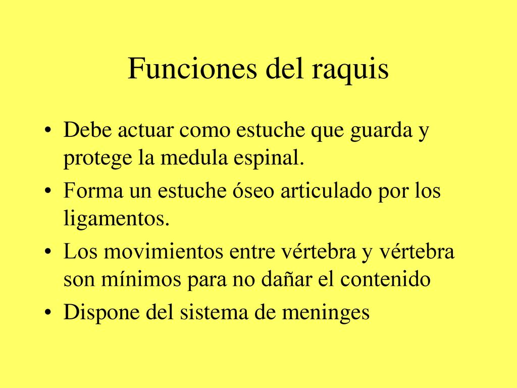 Funciones del raquis Debe actuar como estuche que guarda y protege la medula espinal. Forma un estuche óseo articulado por los ligamentos.