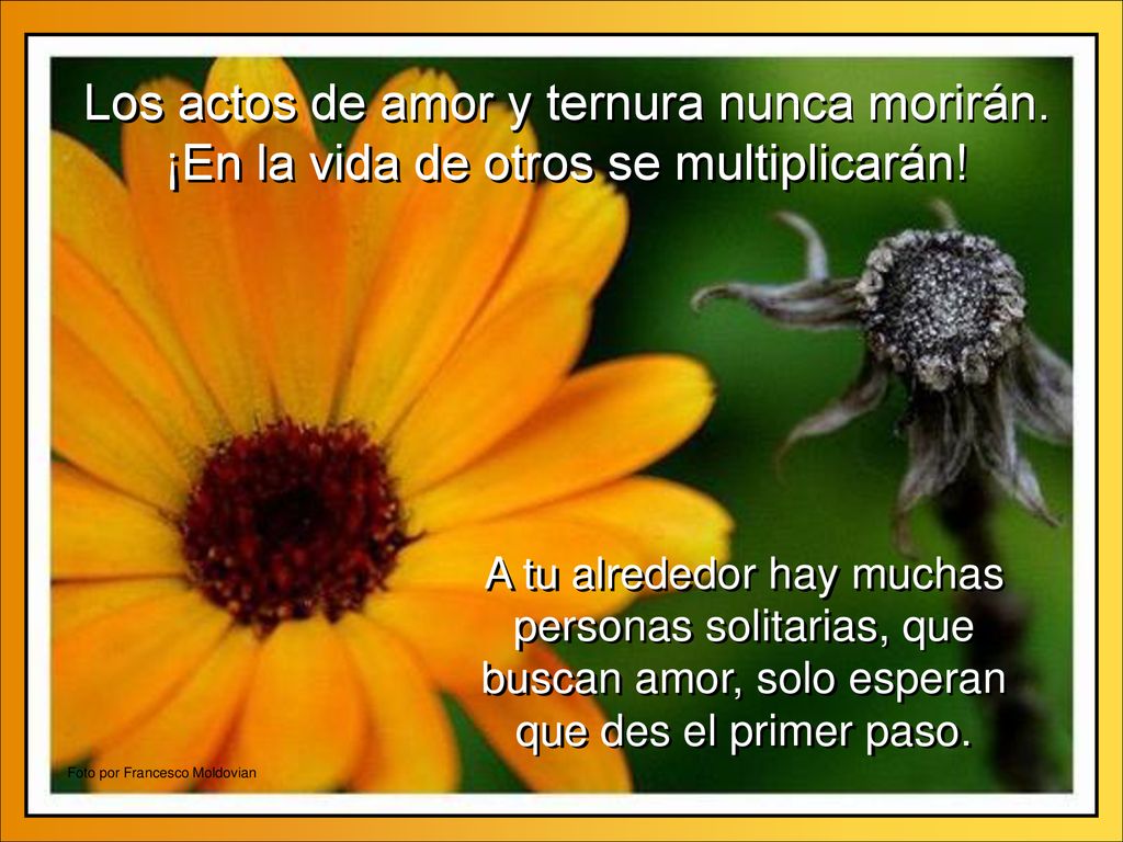 Los actos de amor y ternura nunca morirán