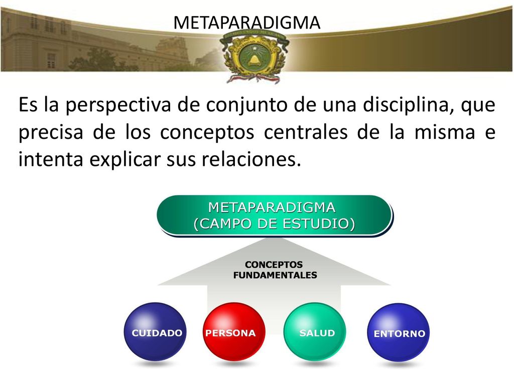 METAPARADIGMA Es la perspectiva de conjunto de una disciplina, que precisa de los conceptos centrales de la misma e intenta explicar sus relaciones.