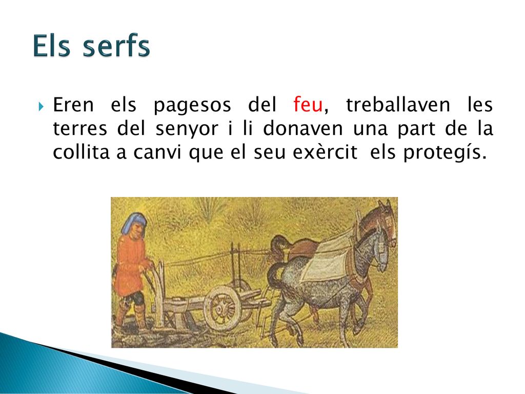 Els serfs Eren els pagesos del feu, treballaven les terres del senyor i li donaven una part de la collita a canvi que el seu exèrcit els protegís.