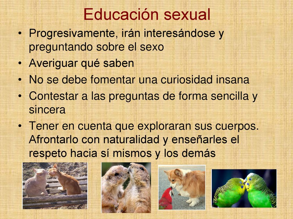Educación sexual Progresivamente, irán interesándose y preguntando sobre el sexo. Averiguar qué saben.