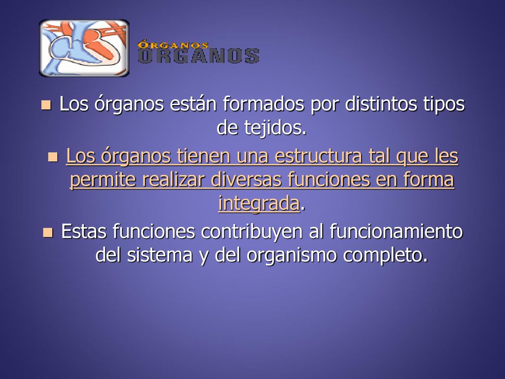 Los órganos están formados por distintos tipos de tejidos.