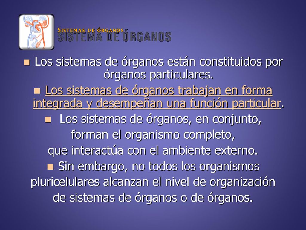 Los sistemas de órganos están constituidos por órganos particulares.
