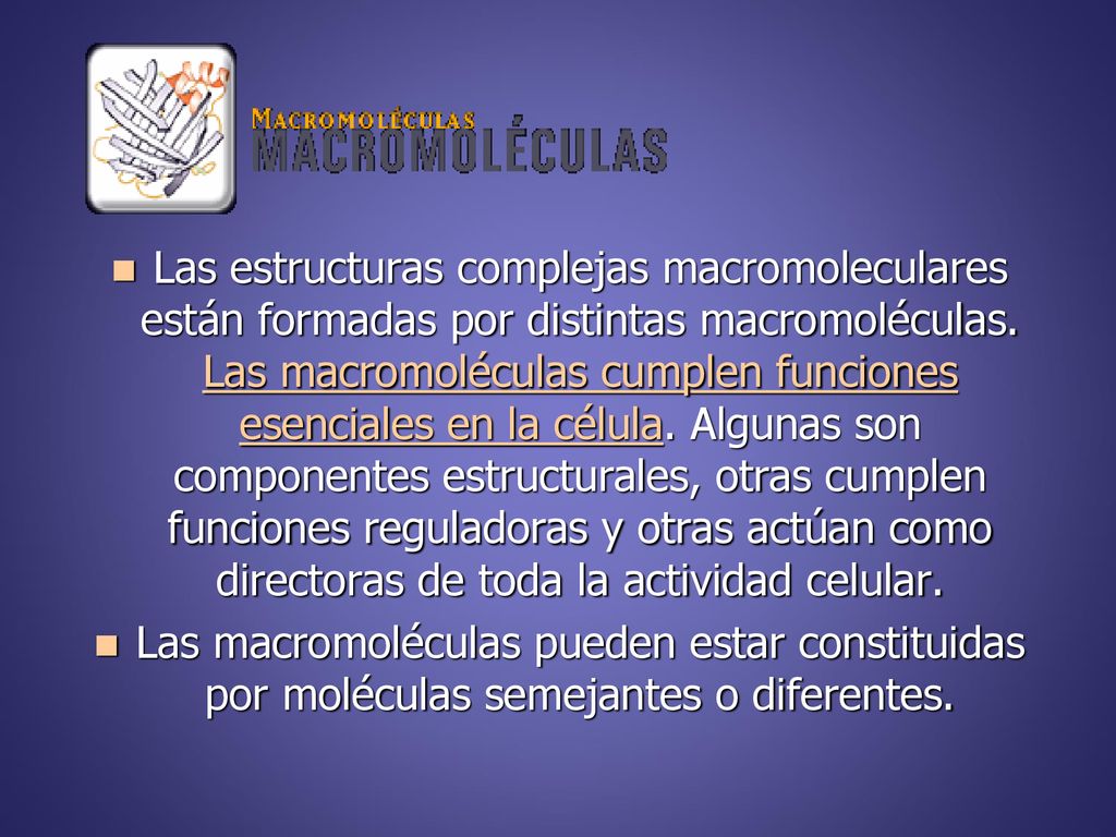 Las estructuras complejas macromoleculares están formadas por distintas macromoléculas. Las macromoléculas cumplen funciones esenciales en la célula. Algunas son componentes estructurales, otras cumplen funciones reguladoras y otras actúan como directoras de toda la actividad celular.