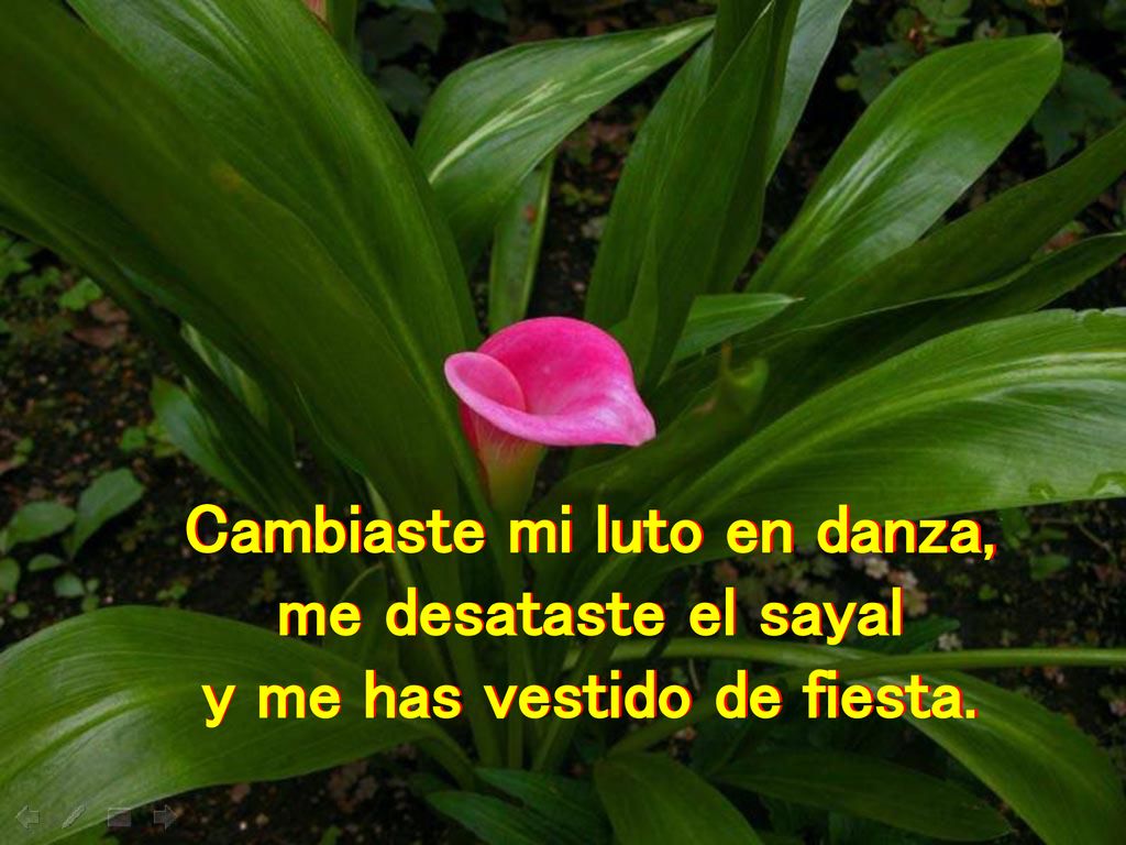 Cambiaste mi luto en danza, y me has vestido de fiesta.