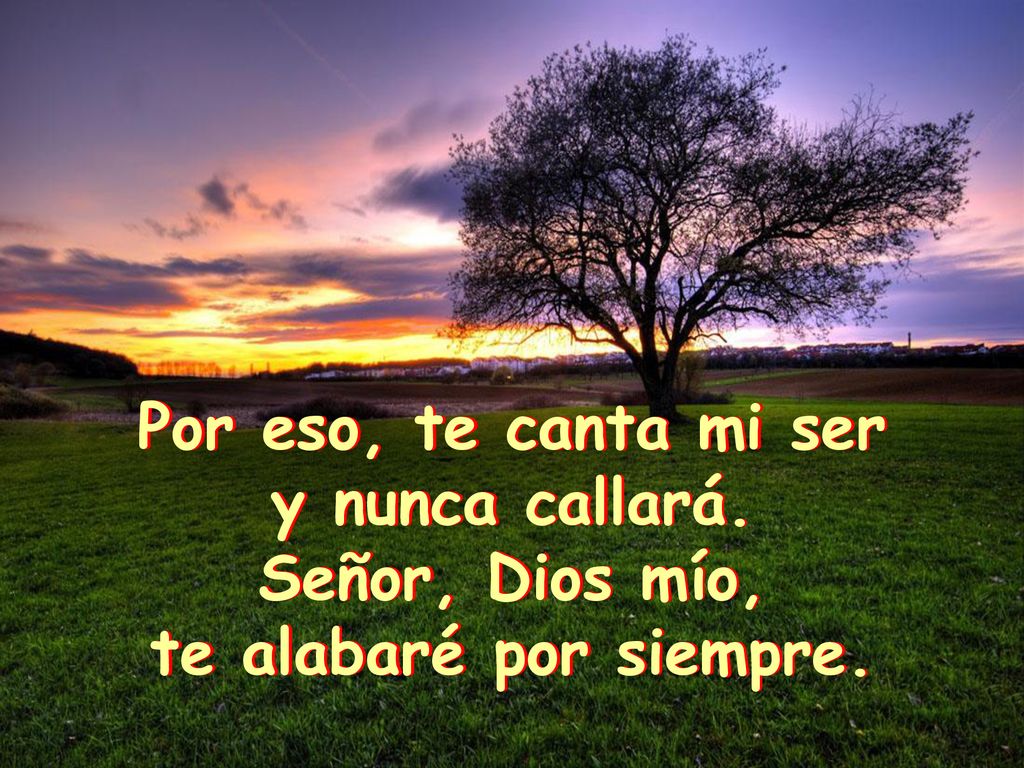Por eso, te canta mi ser y nunca callará. Señor, Dios mío, te alabaré por siempre.