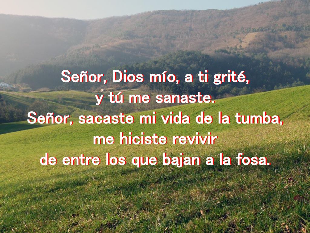 Señor, Dios mío, a ti grité, y tú me sanaste.
