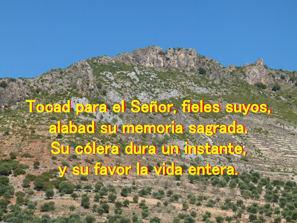 Tocad para el Señor, fieles suyos, alabad su memoria sagrada.