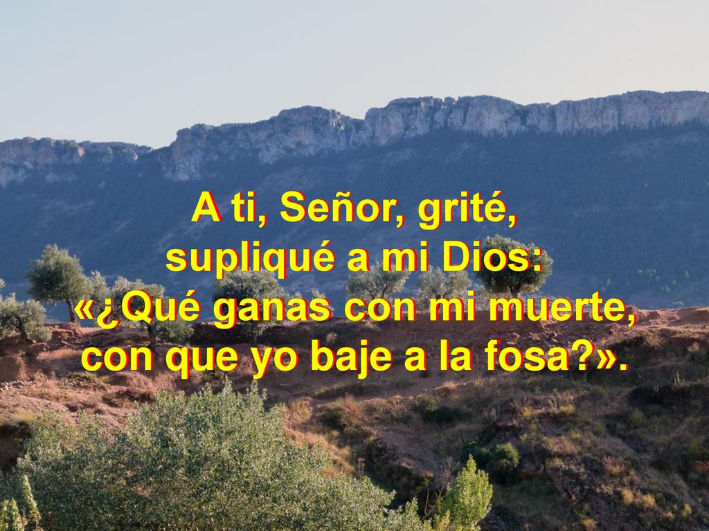 «¿Qué ganas con mi muerte, con que yo baje a la fosa ».